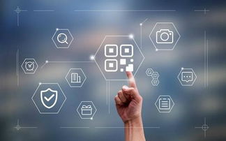 区块链技术开发的安全性与网络技术要点